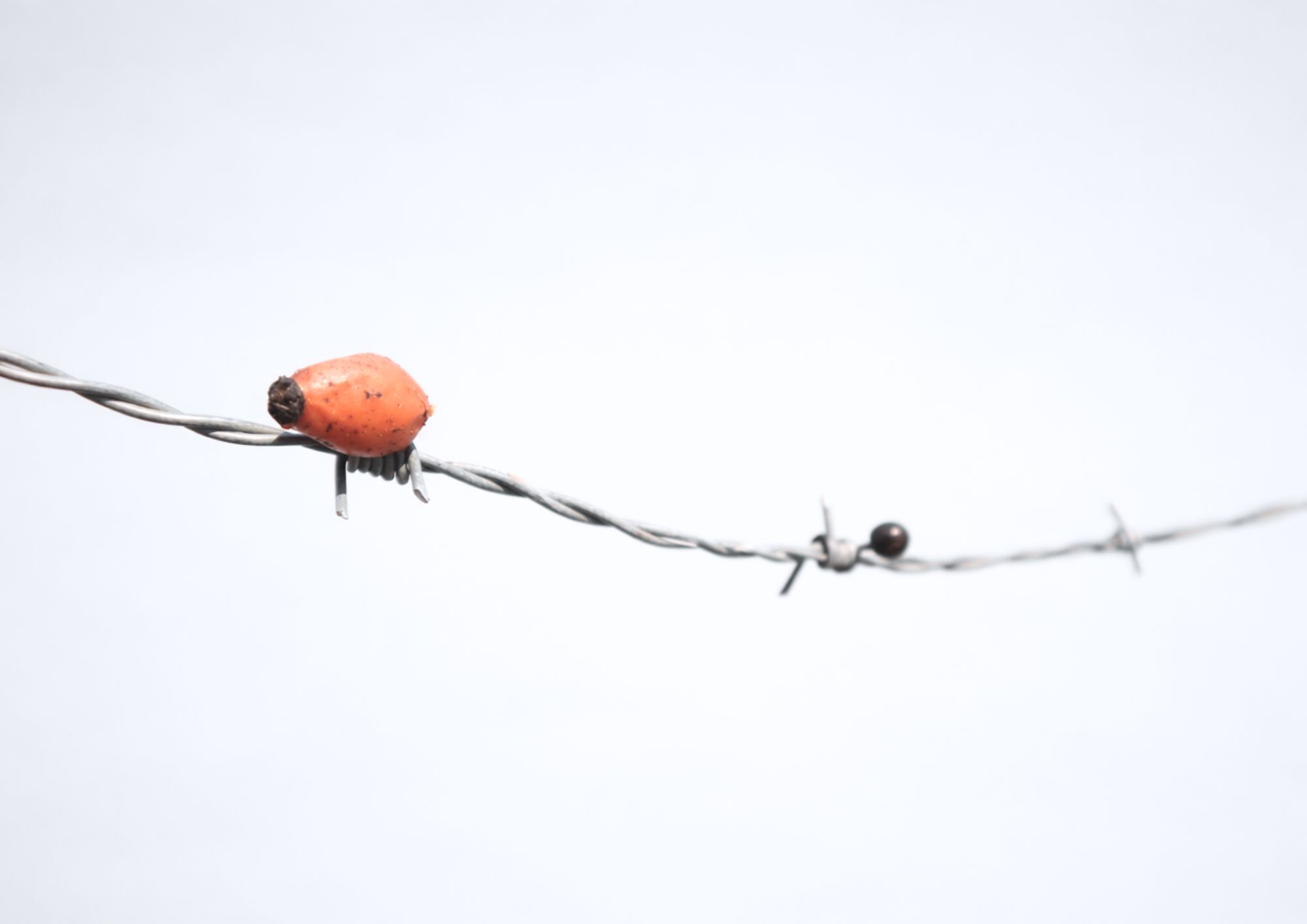 changer%20les%20moutons%202%283%29